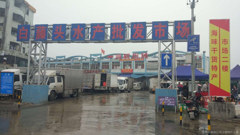 武汉水产批发市场：新鲜的开始